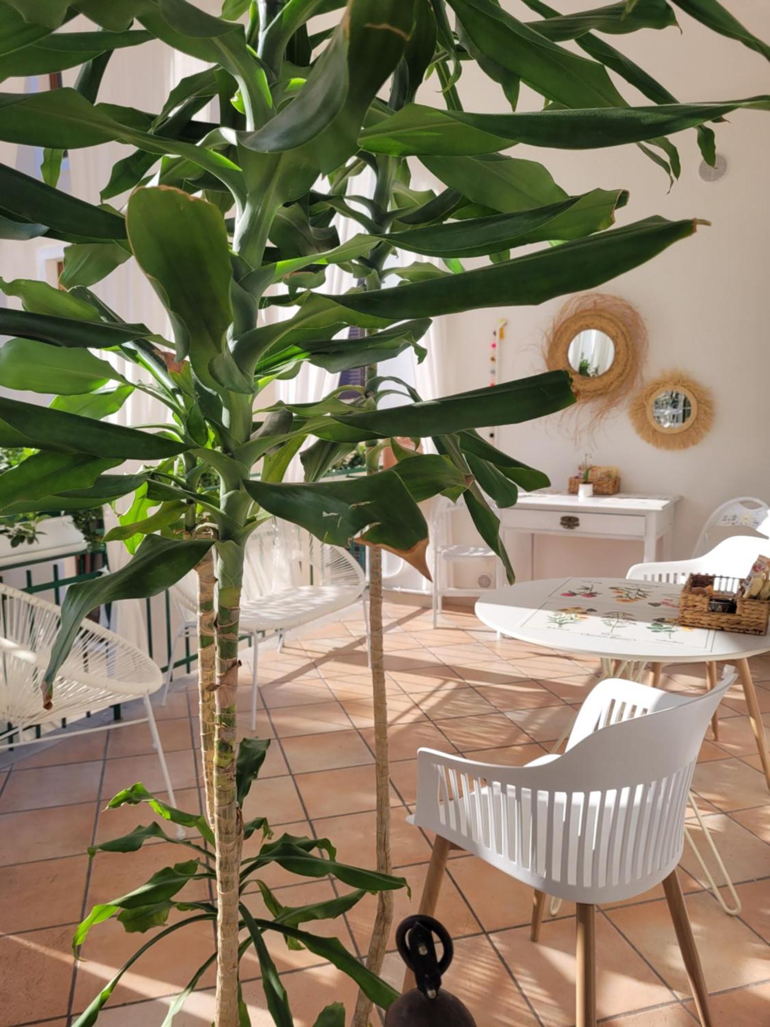 B&B Dal Nonno Riva del Garda Exterior photo